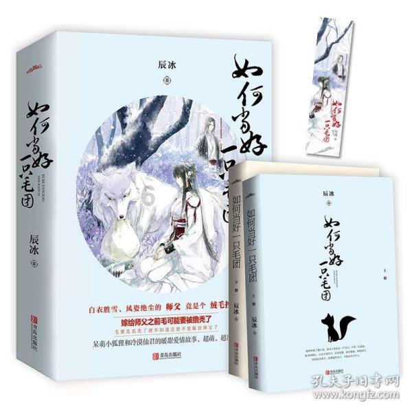 了不起的麦瑟尔夫人